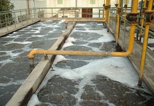 廢水處理厭氧生物 廢水處理厭氧生物