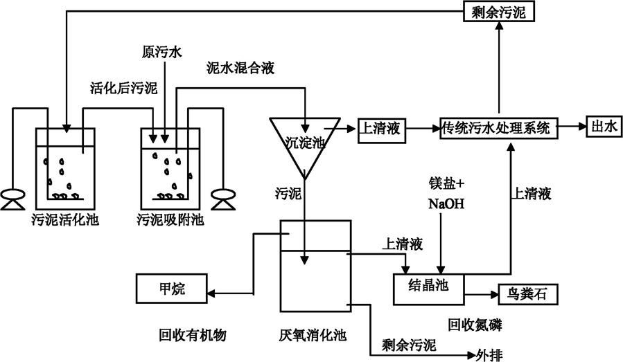 廢水排放的生物學(xué)指標 廢水排放的生物學(xué)指標