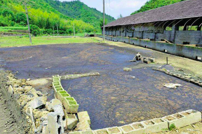 養豬污水變清水最快方法，養豬場污水處理方法有哪些-樂中環保