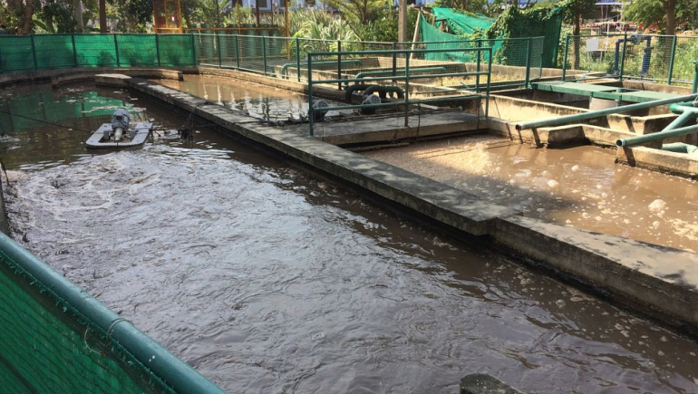 食品加工污水處理流程有哪些？如何更好的處理食品廢水？