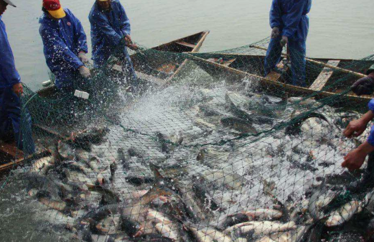 水產(chǎn)養(yǎng)殖污水成分詳細(xì)介紹，一起來學(xué)習(xí)吧