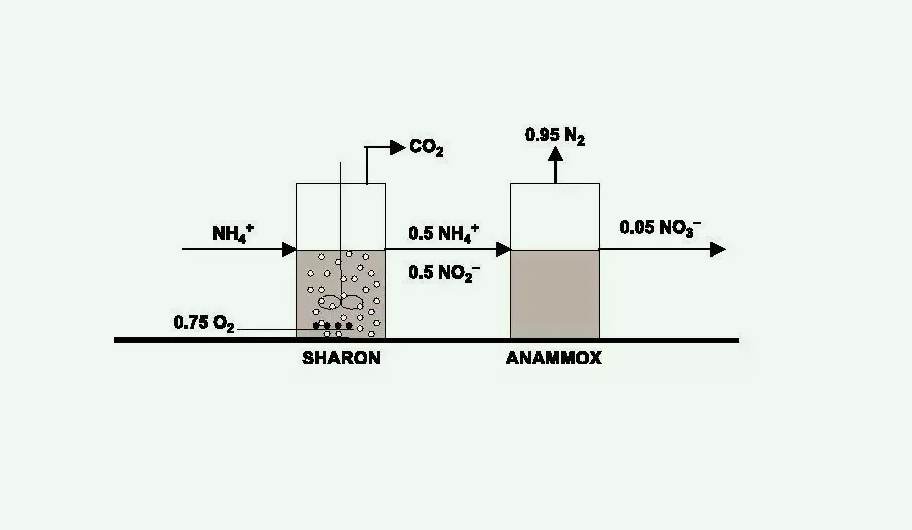 自養反硝化工藝和原理(自養反硝化和異養的區別)-01 自養反硝化工藝和原理(自養反硝化和異養的區別)-01