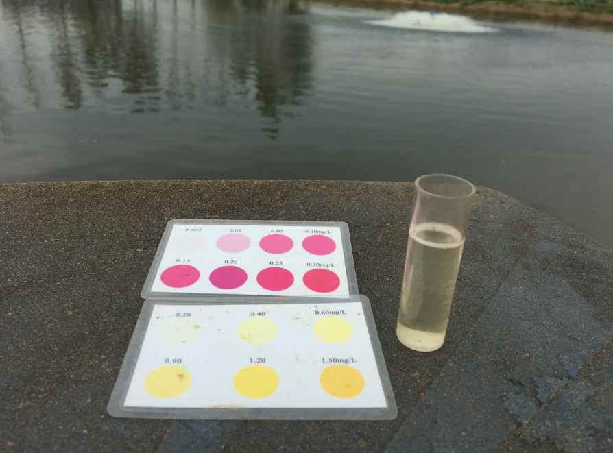 總氮超標怎么處理氨氮不超標(氨氮超標怎么辦)-02 總氮超標怎么處理氨氮不超標(氨氮超標怎么辦)-02