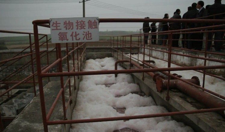 生物接觸氧化池的作用是什么？（生物接觸氧化池去除什么）-01